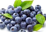 Blue Berry Extract Powder
