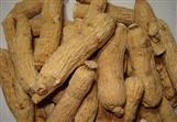 American Ginseng Extract Powde